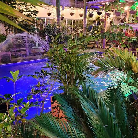 Hostal Hilltop Salento Kültér fotó