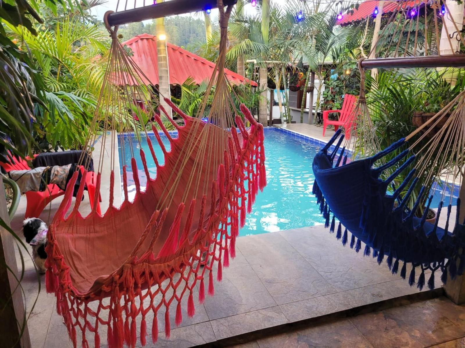 Hostal Hilltop Salento Kültér fotó